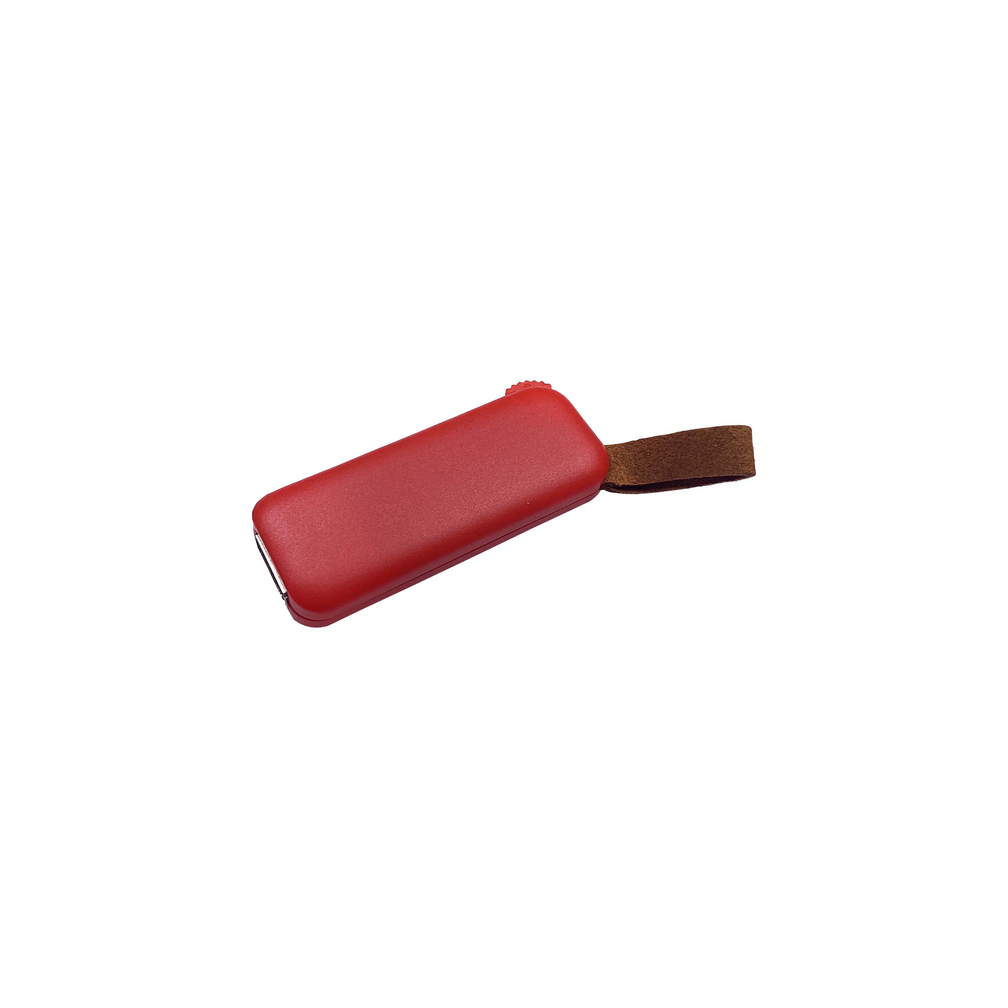 Modell F100 USB 3.0 Flash Disk  64 GB Rot